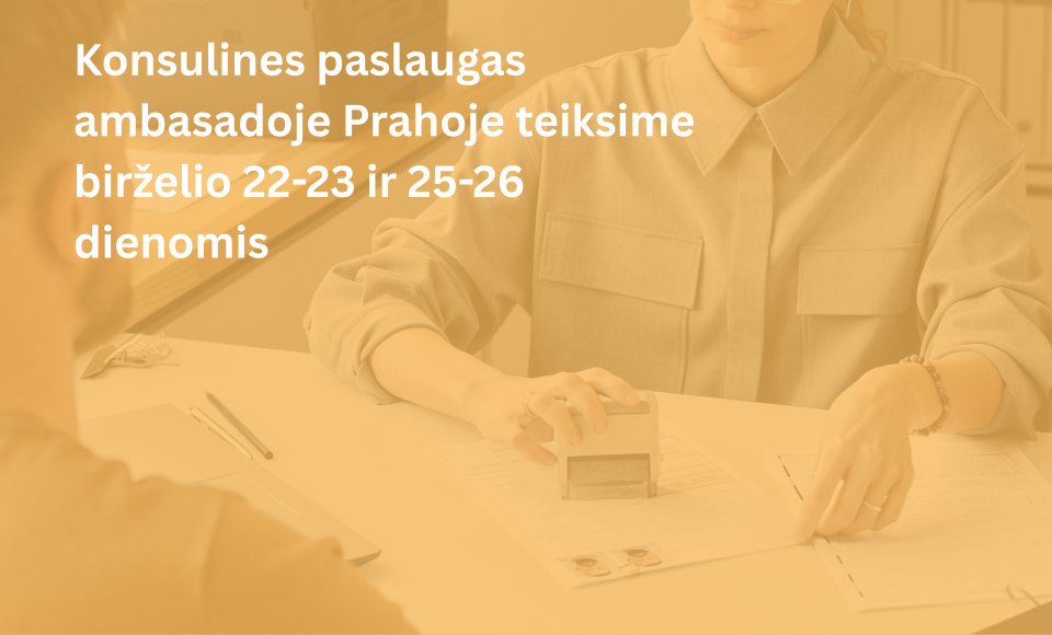 Konsulinės paslaugos ambasadoje birželio mėnesį